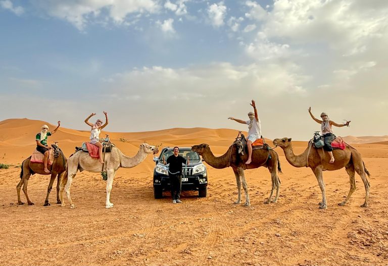 Camel trekking in the Sahara Desert during Marrakech Desert Tours